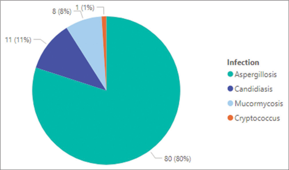 Distribution of pulmonary fungal infections in study cohort.