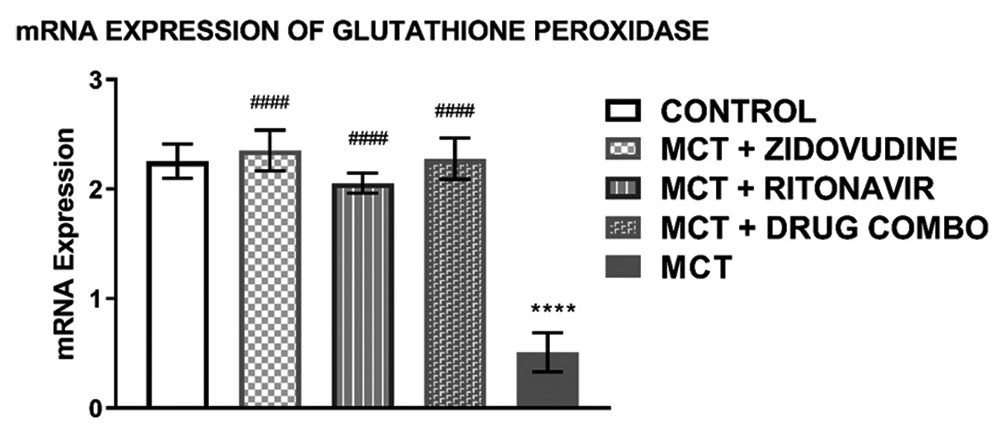 mRNA expression of glutathione peroxidase in the heart tissue of experimental rats Values are expressed as mean ± SEM (n = 8/group). In comparison with the control: *P < 0.05, **P < 0.01, ***P < 0.001, and ****P < 0.0001 while in comparison with MCT #P < 0.05, ##P < 0.01, ###P < 0.001, and ####P < 0.0001. MCT + DRUG COMBO represents MCT plus combination of Zidovudine and Ritonavir.